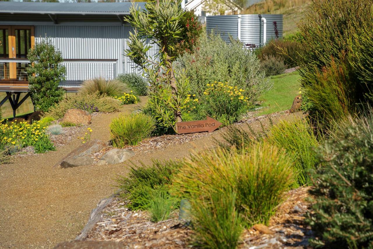 Hobart Hideaway Pods Bed & Breakfast Kingston